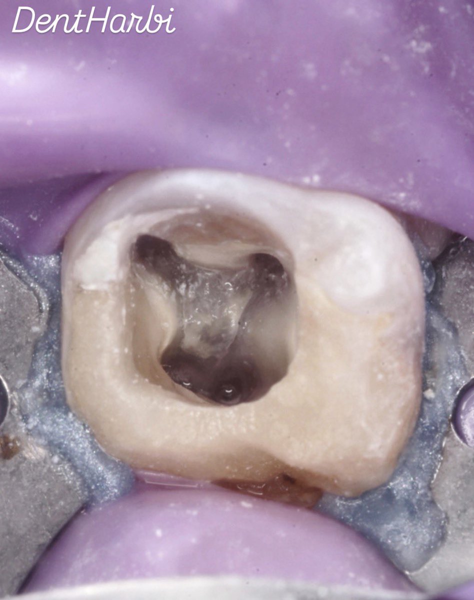 Khalid Alharbi tweet media