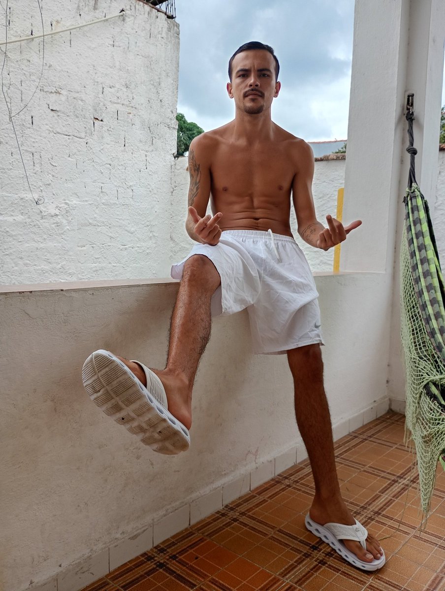 Joao Findom tweet media