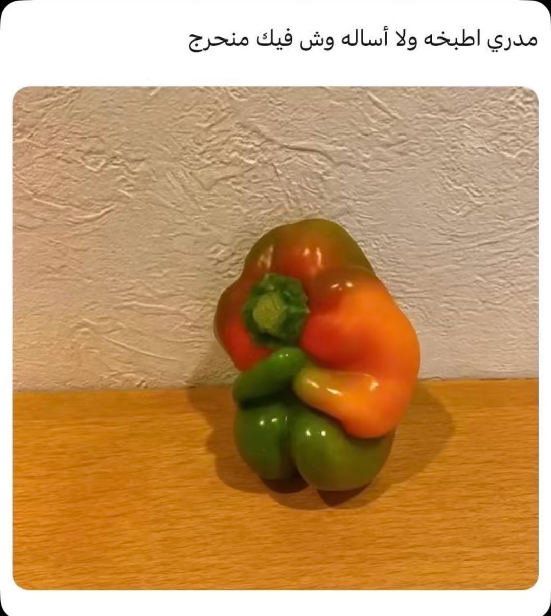 د. هيفاء حمد الراشد🇸🇦 tweet media