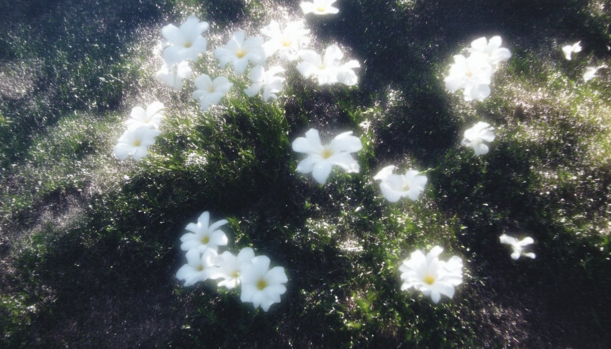 𐬽𐬻𐬽𐬻𐬽 (@eternalfile) on Twitter photo 