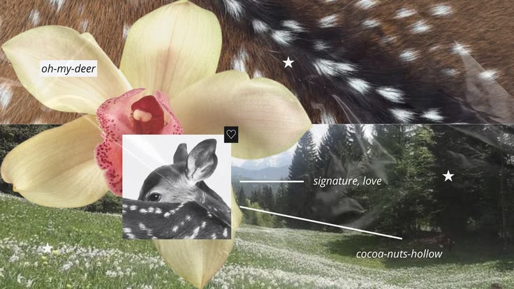 𝒻𝓁ℴ. tweet media