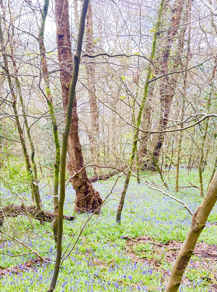 Emmawales123 tweet media