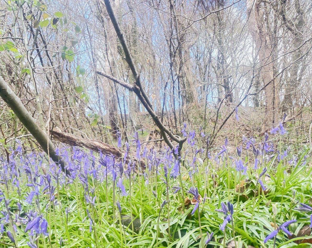 Emmawales123 tweet media