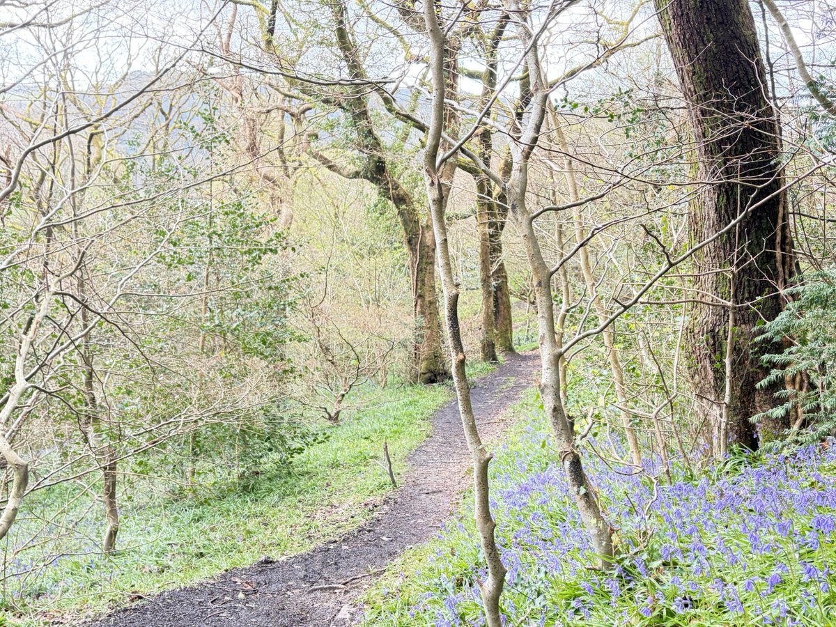 Emmawales123 tweet media