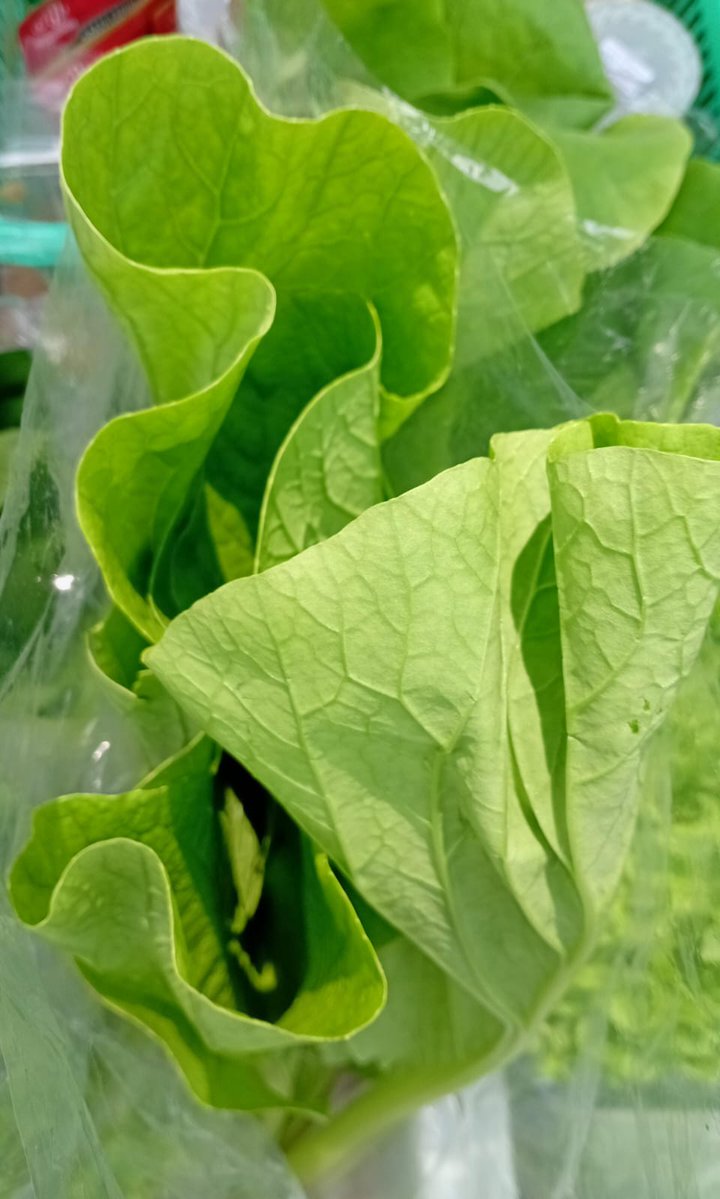 Surya Hamidaturrazky tweet media