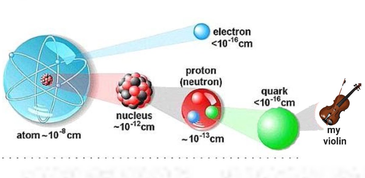 Colin the Dachshund tweet media