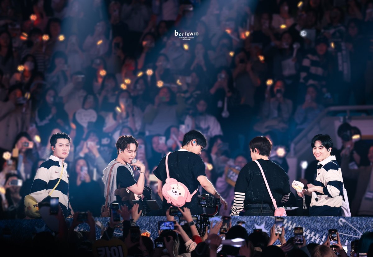 동백나무 tweet media