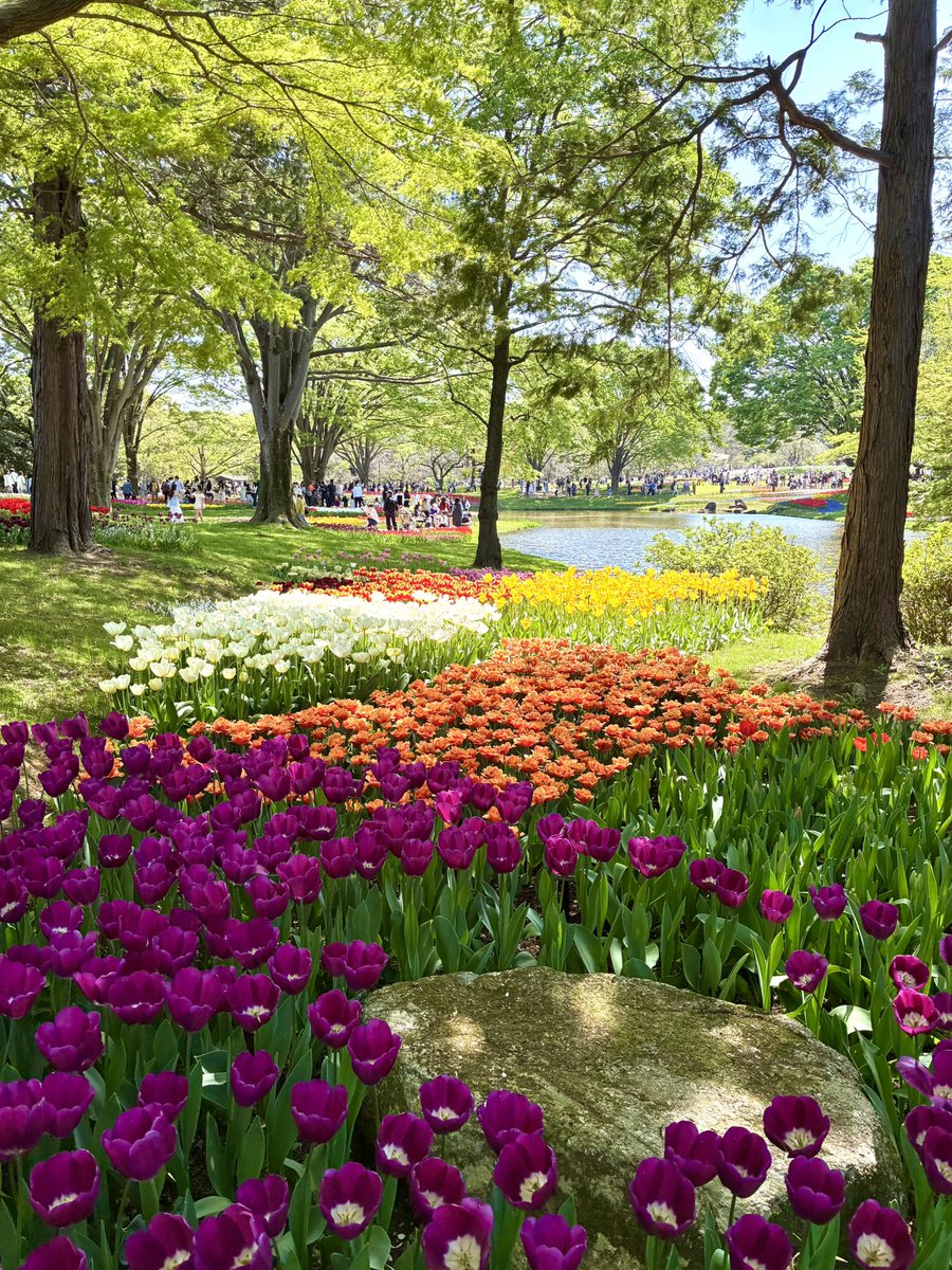 パブ🌷 tweet media