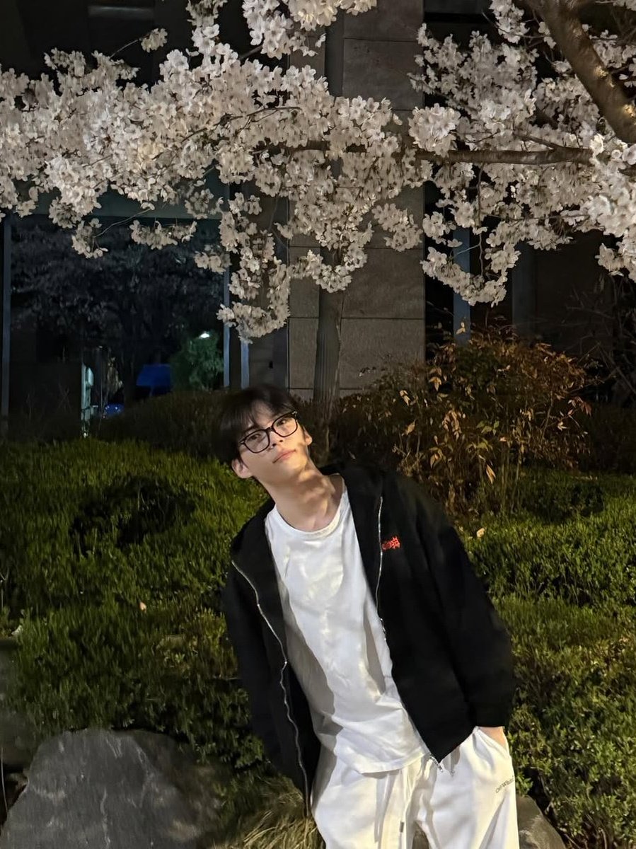 haiica ✿ tweet media