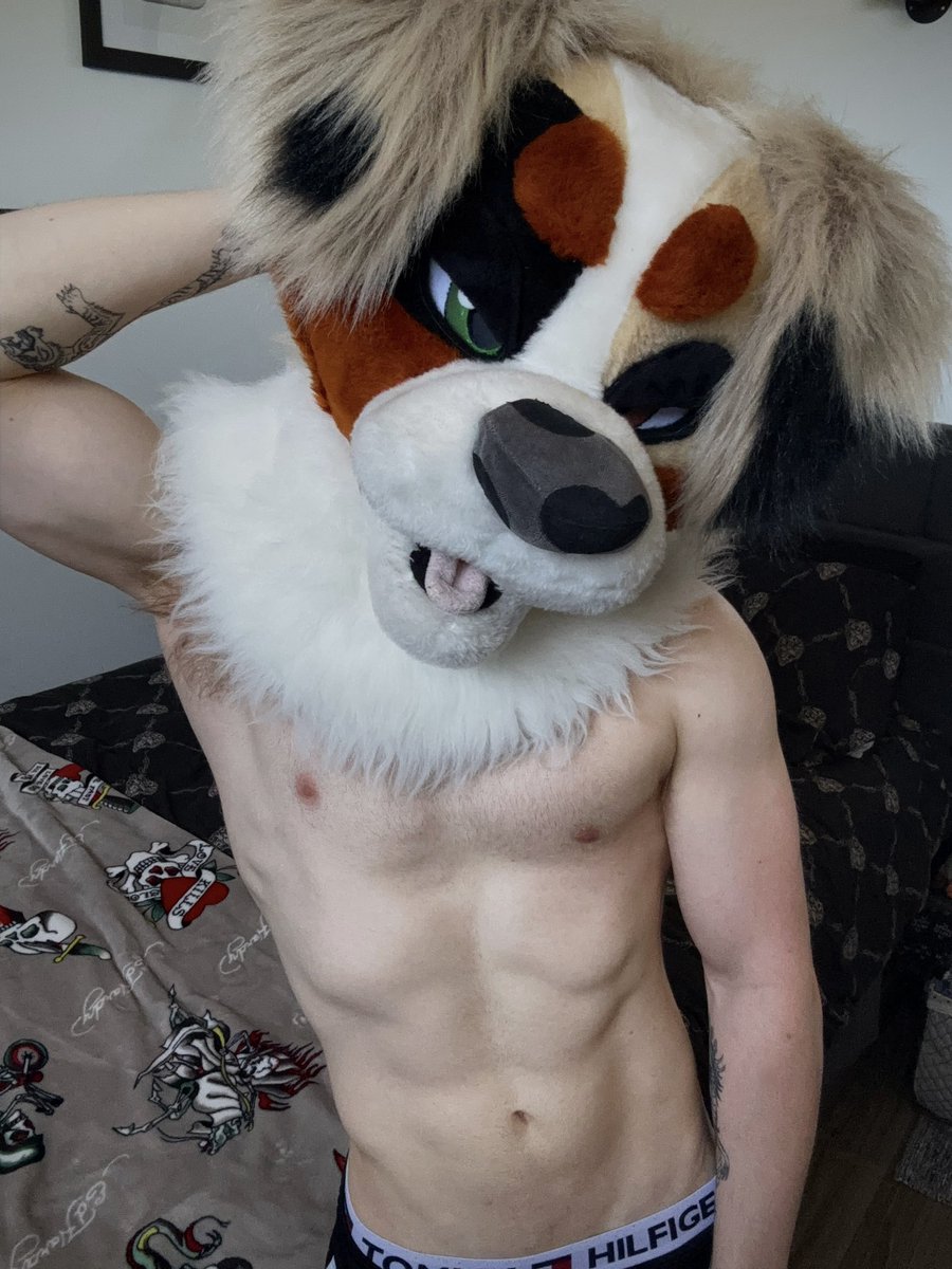 Koda’s EVIL Account 🔞 tweet media