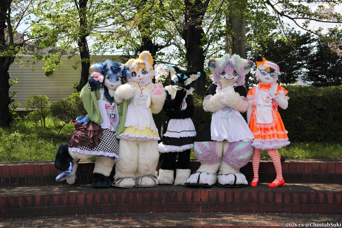 FLEET(ねこのすがた) tweet media