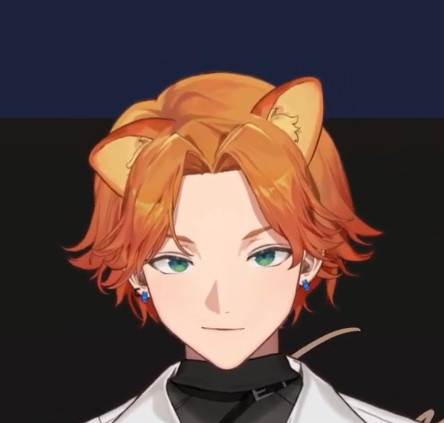 迷路橘貓 tweet media