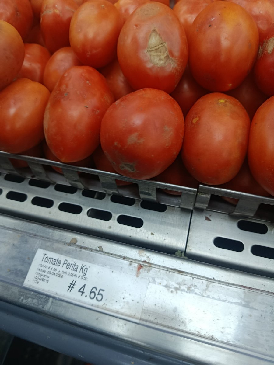 Elio García 🦁⚾ tweet media