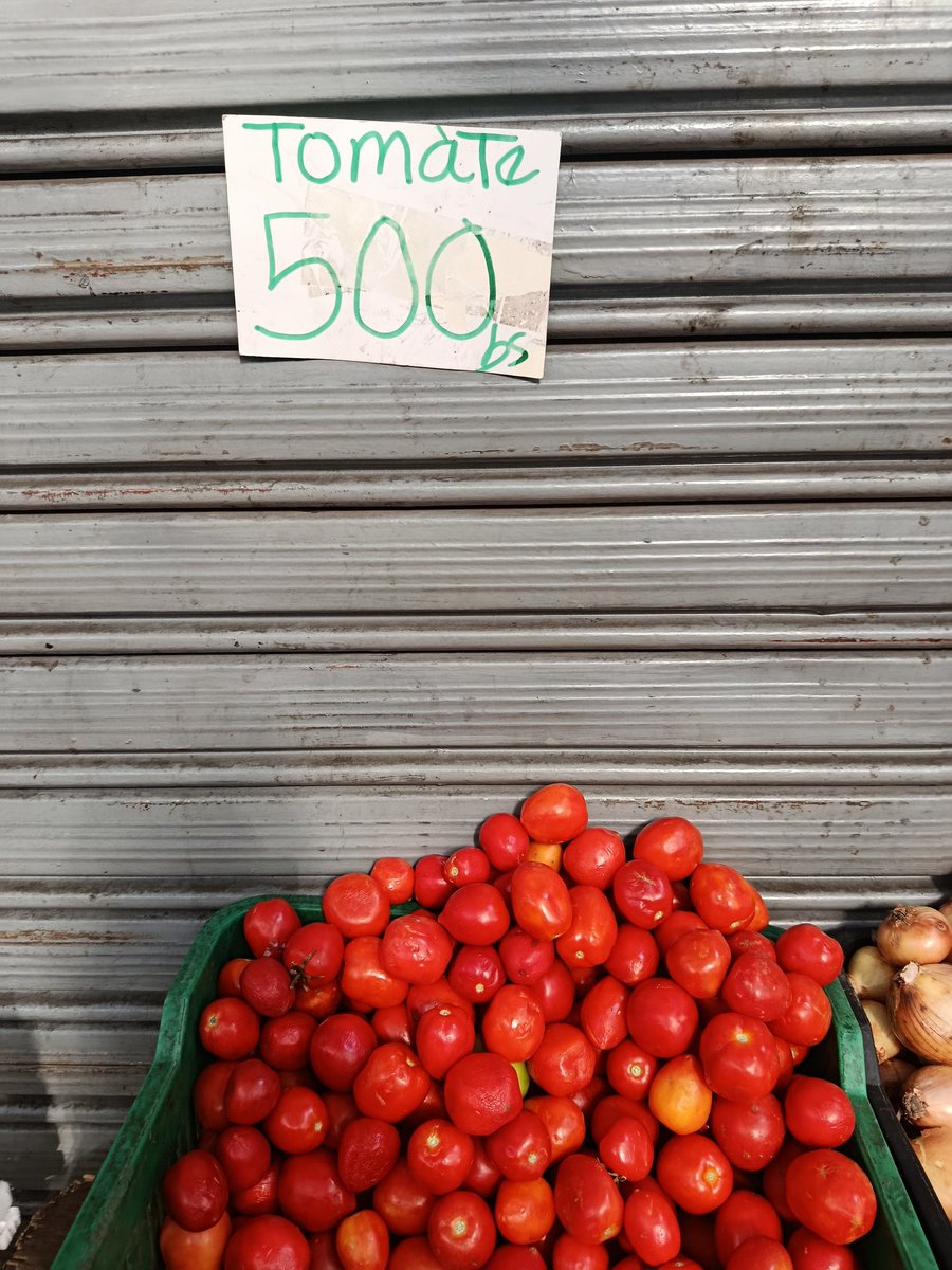 Elio García 🦁⚾ tweet media