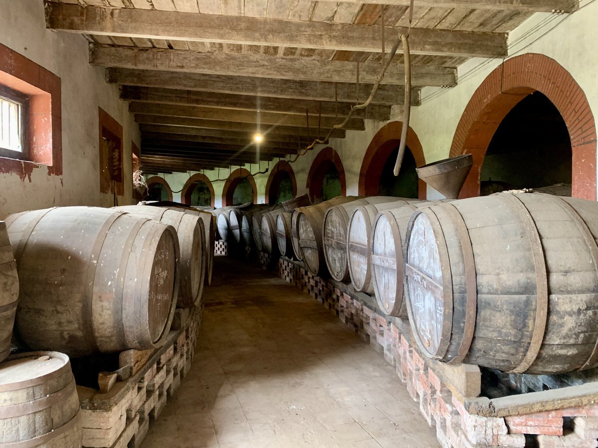 Josep Sucarrats Miró tweet media