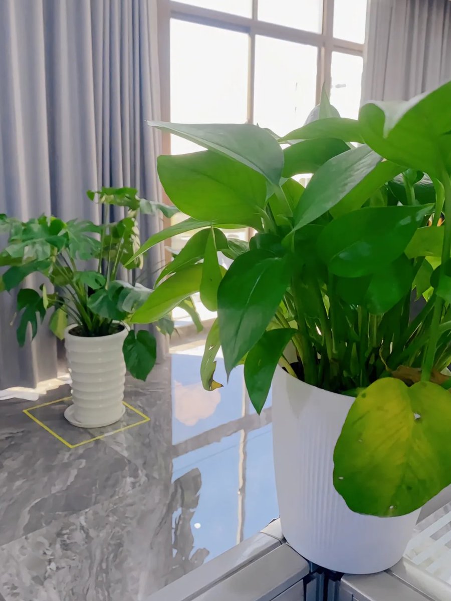 Freddy-Marcus Paju tweet media