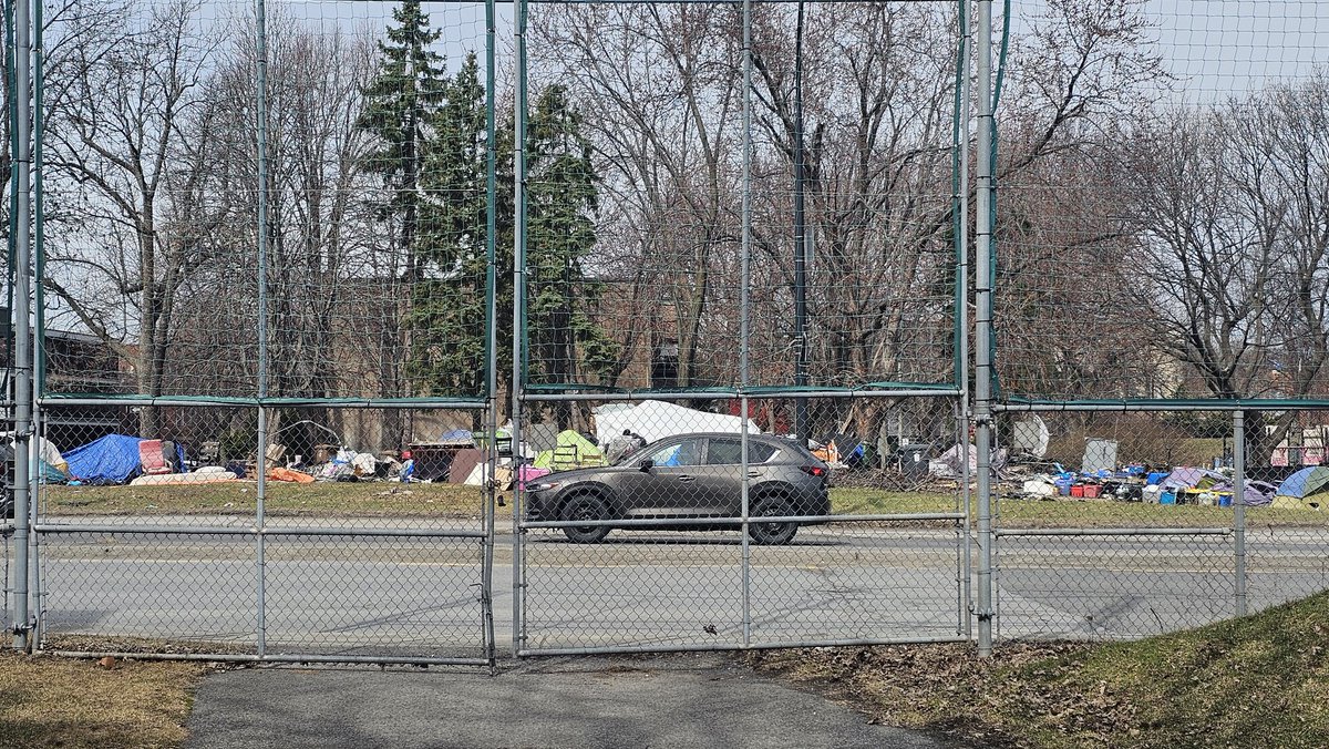 Maxime Truman tweet media