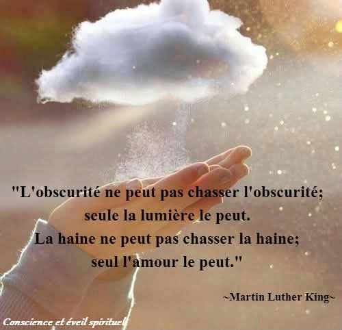 Sagesse Pure tweet media