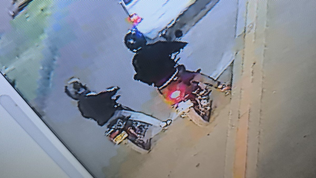 Pasa en Bogotá | Sr Bacca🐮 tweet media