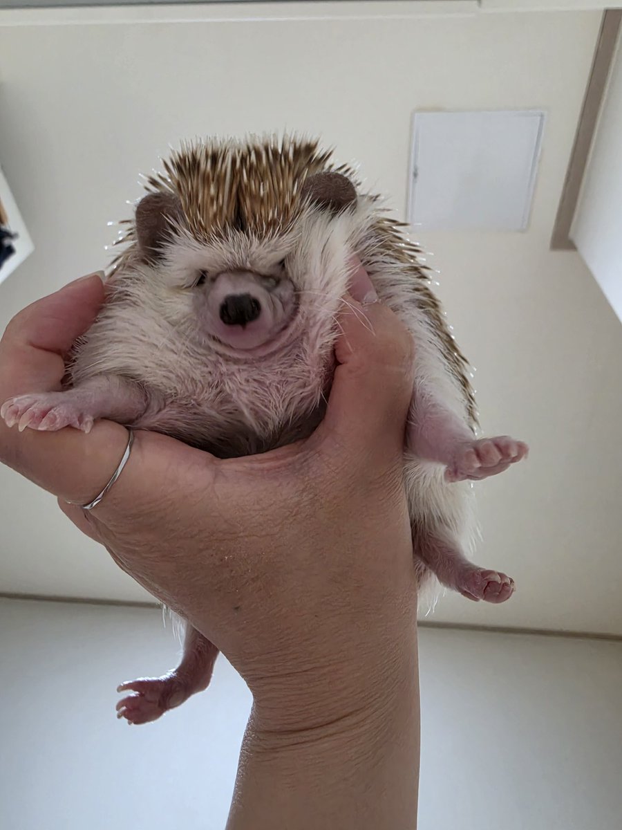 ㅋㅋㅋㅋㅋㅋㅋㅋㅋㅋㅋㅋㅋㅋㅋㅋㅋㅋㅋㅋㅋㅋㅋㅋㅋㅋㅋㅋㅋㅋ아 웃겨
ㅋㅋㅋㅋㅋㅋㅋㅋㅋㅋㅋㅋㅋㅋㅋㅋ