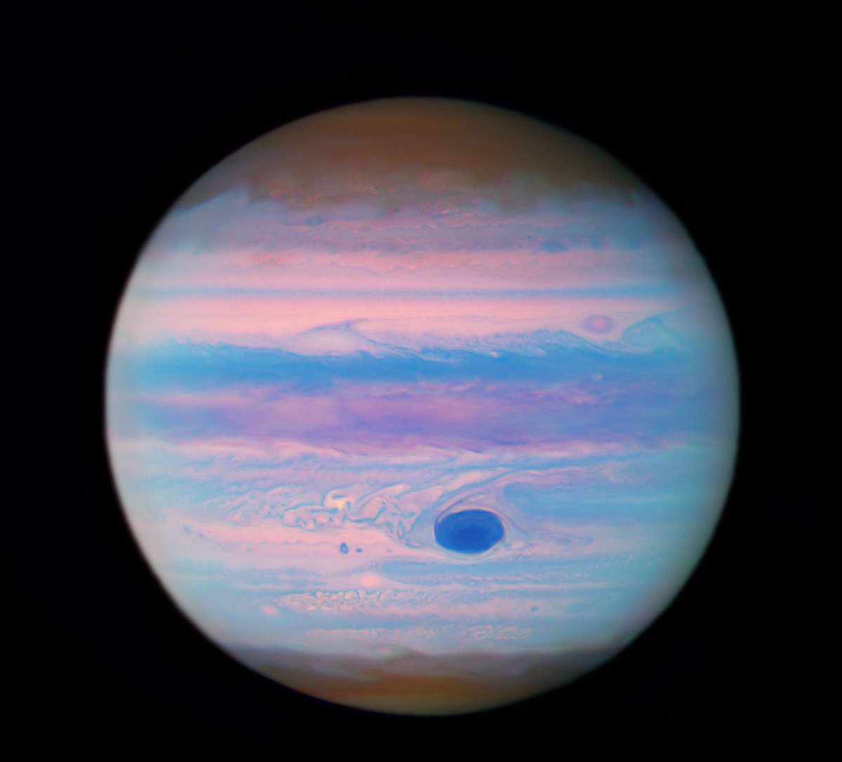 jupiter ⚔️ tweet media