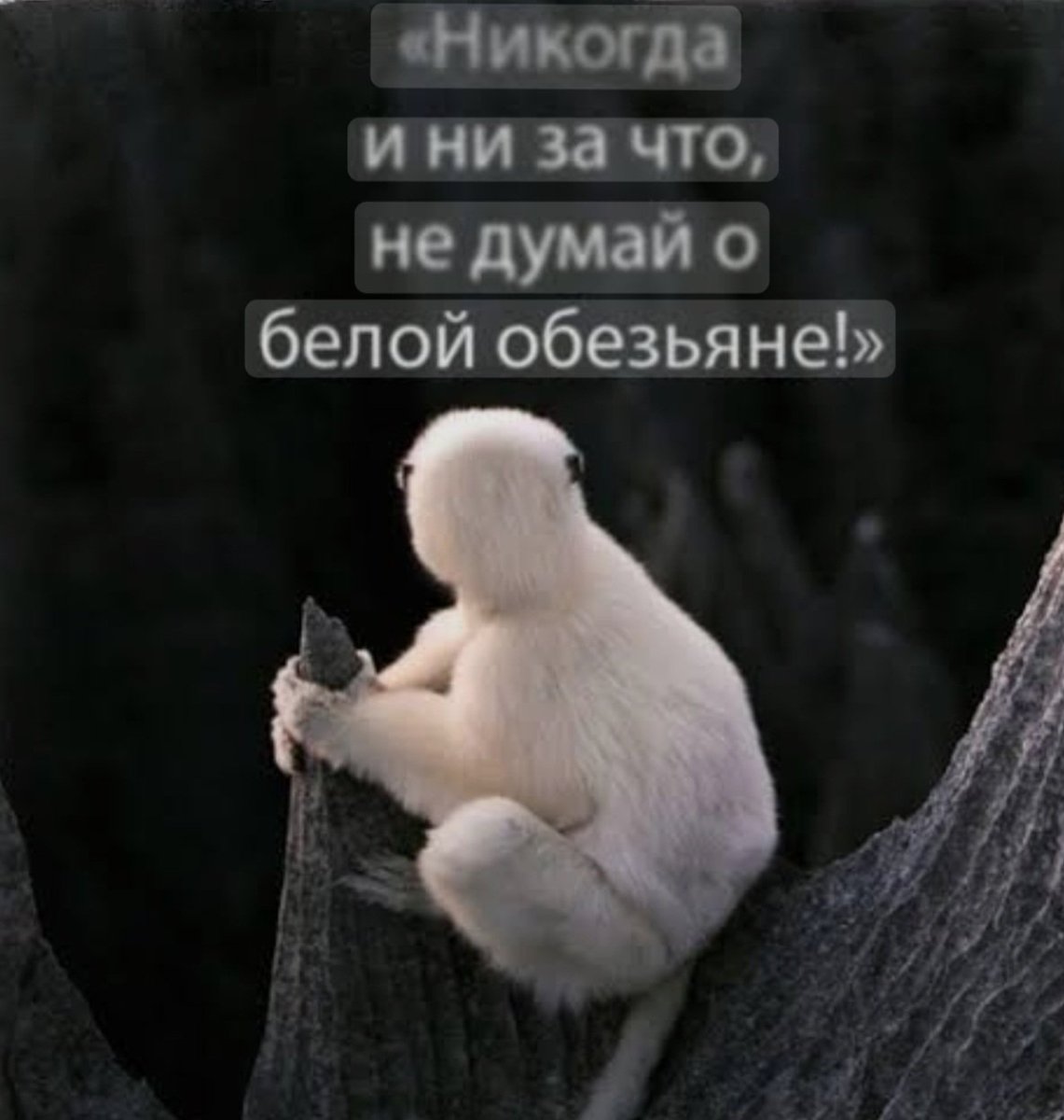 Евгений tweet media