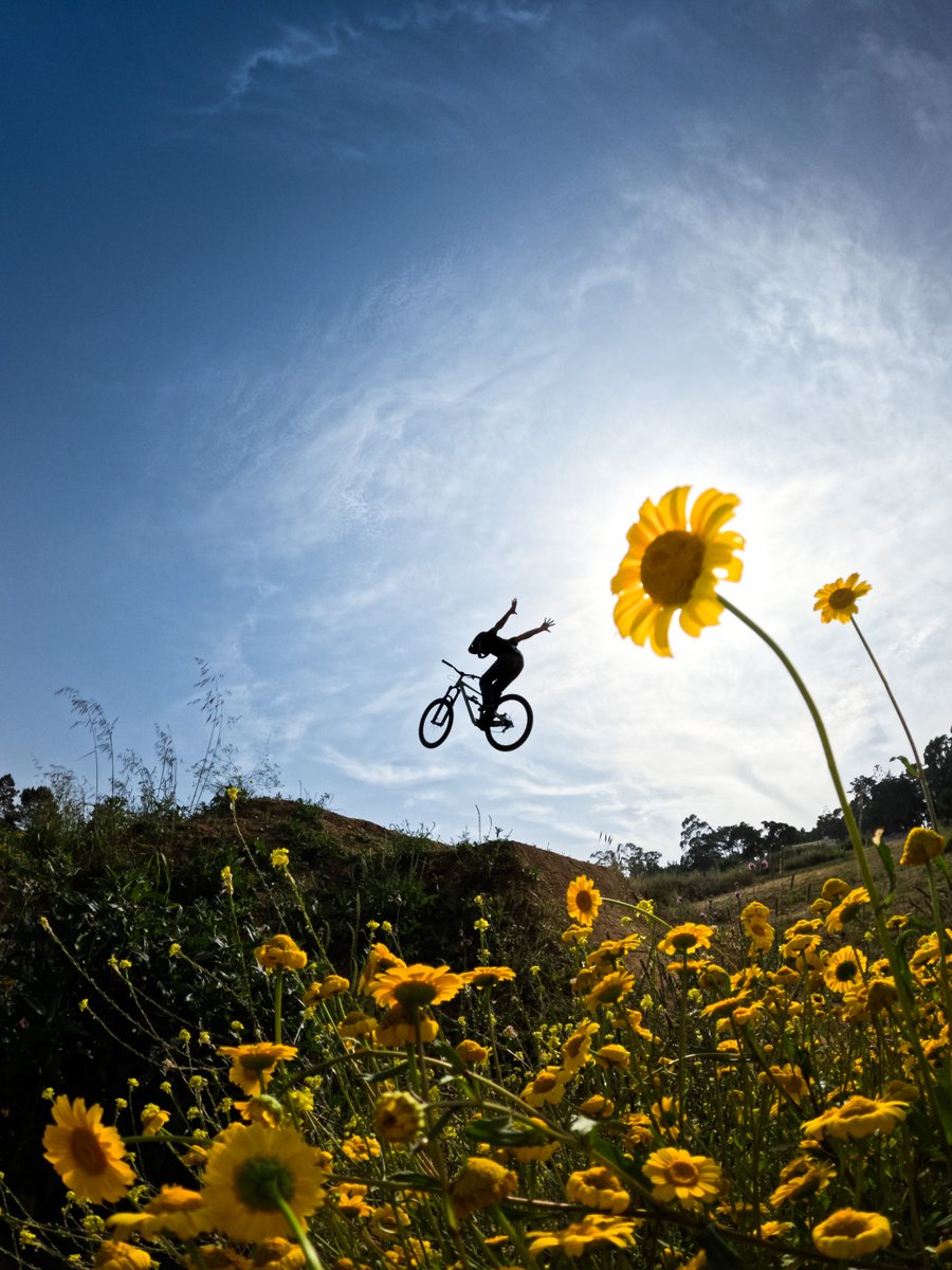 GoPro's tweet image. Photo of the Day: Spring has sprung, + so has GoPro Family member @rodrigovicentebmx 🌼 Shot on #GoProHERO13 Black with Burst Photo Mode.

Pro Tip: You can shoot up to 30 images per second with Burst Photo Mode, even in RAW format 📸

#GoPro #MTB #Bike #Spring