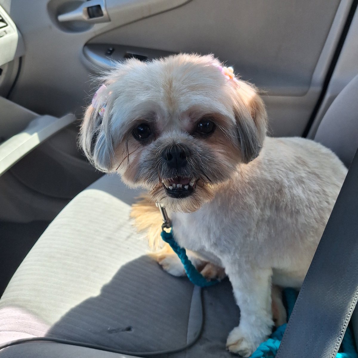 Texas Sky tweet media