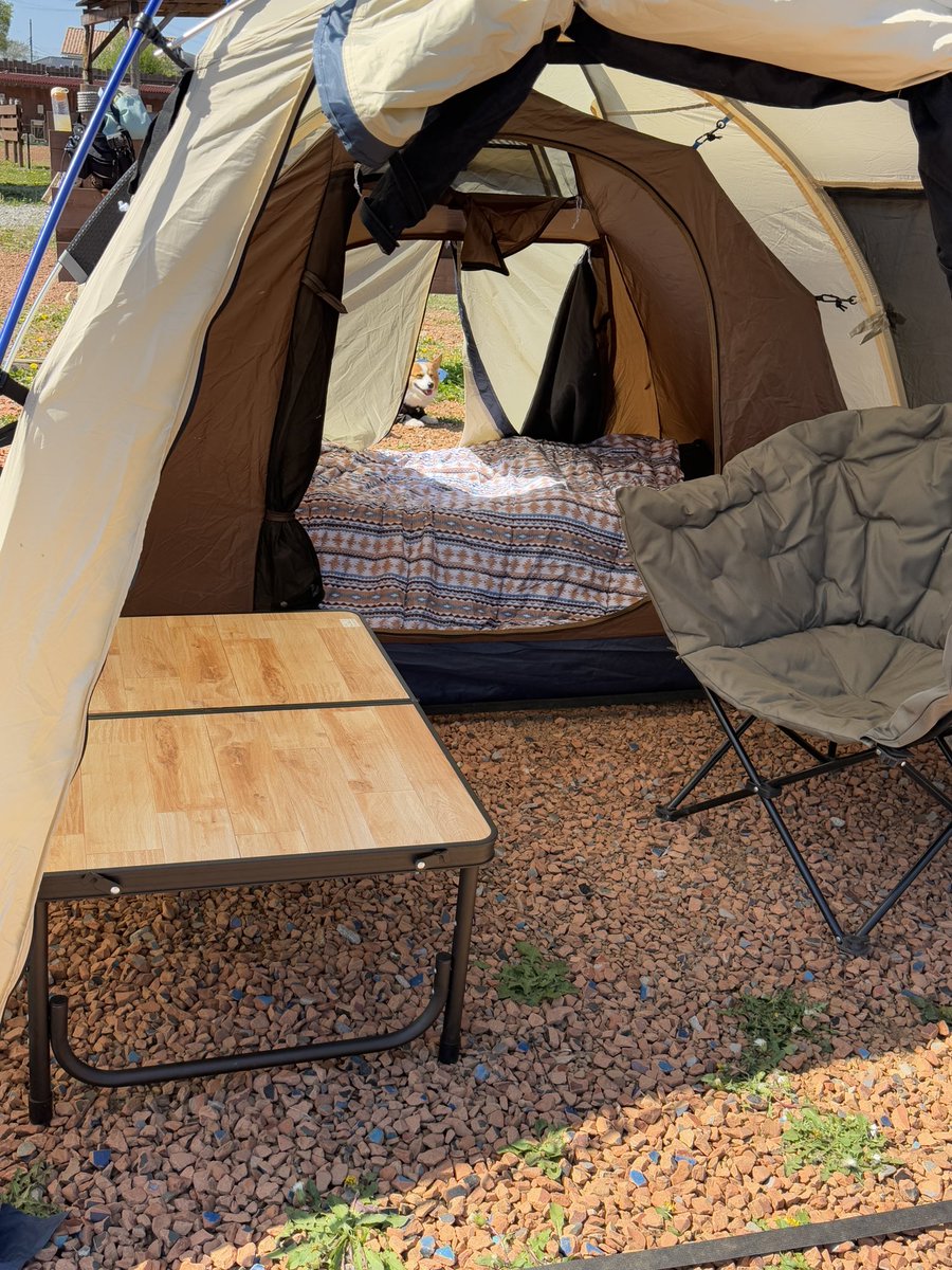 ちょびと陸遜と凛太郎と朱凛 tweet media