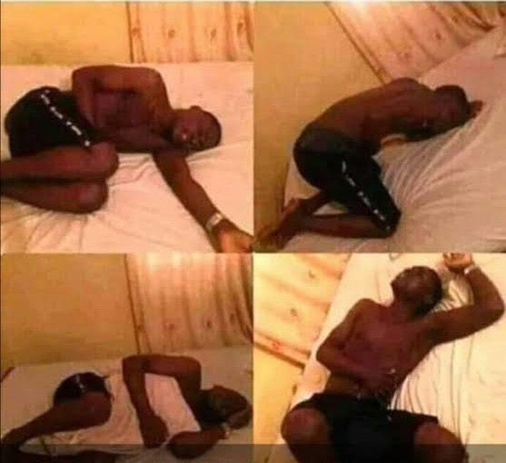 Triumphant💫 tweet media