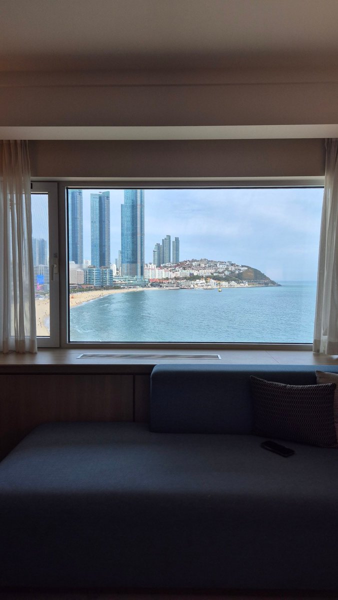 모도리 tweet media