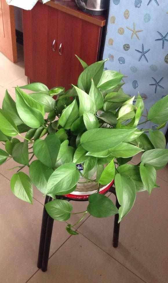 Rachel Fairhead tweet media