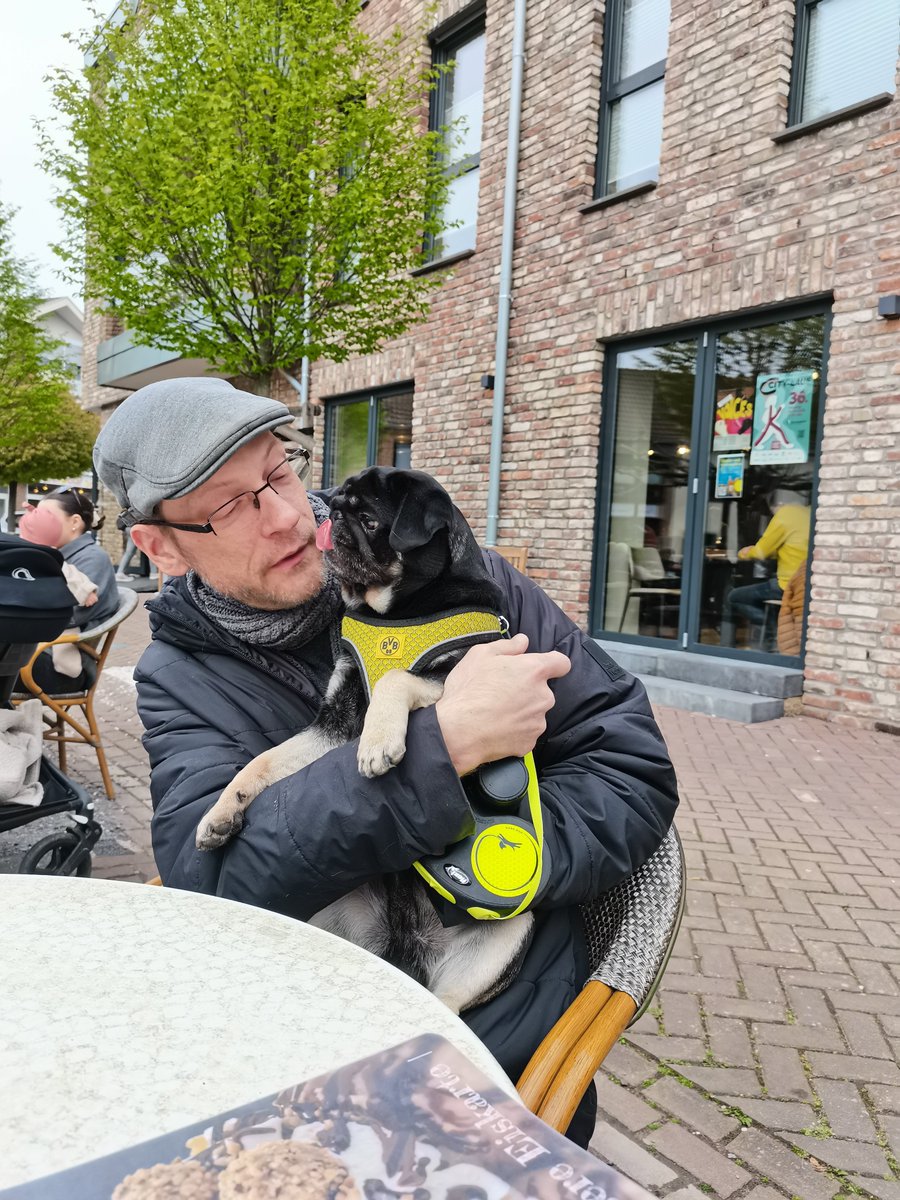 🖤💛Toby & Happy🖤💛 tweet media