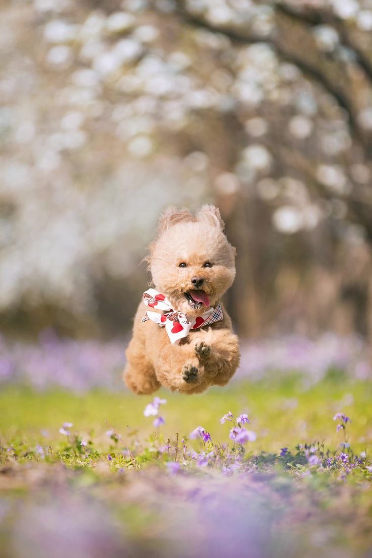 donat🍩 tweet media