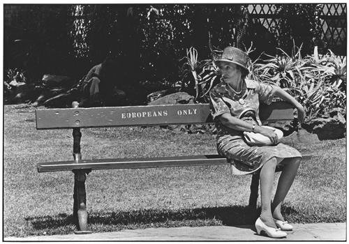 Gontse Lephalo tweet media