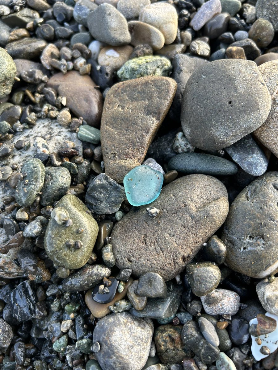 monpopotan's tweet photo. 昨日は山で今日は海… 容易には見つからない現場で探すの苦労したけど、どれもよく育ってコロンとしてかわいい。17時を知らせる音を聴きながら、今日はレアシーなしかぁ…と思ってたところコバルトが現れた！うれしい☺️
#シーグラス #ビーチコーミング #海 https://t.co/iD1xQ2cTzV