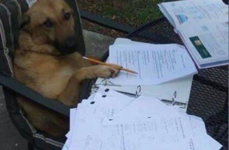 Ahmed Elfakhry tweet media