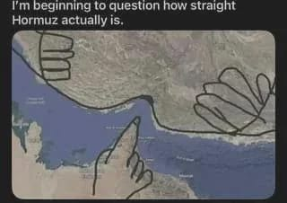 The Mark Green Experience 🧀🥝 tweet media