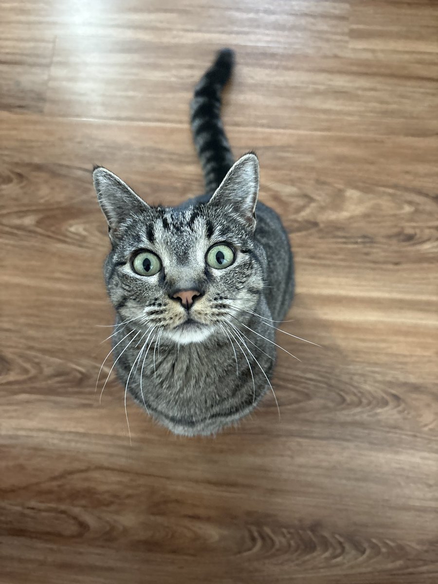 GamingFunny tweet media