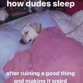 Trevor 🚂 tweet media