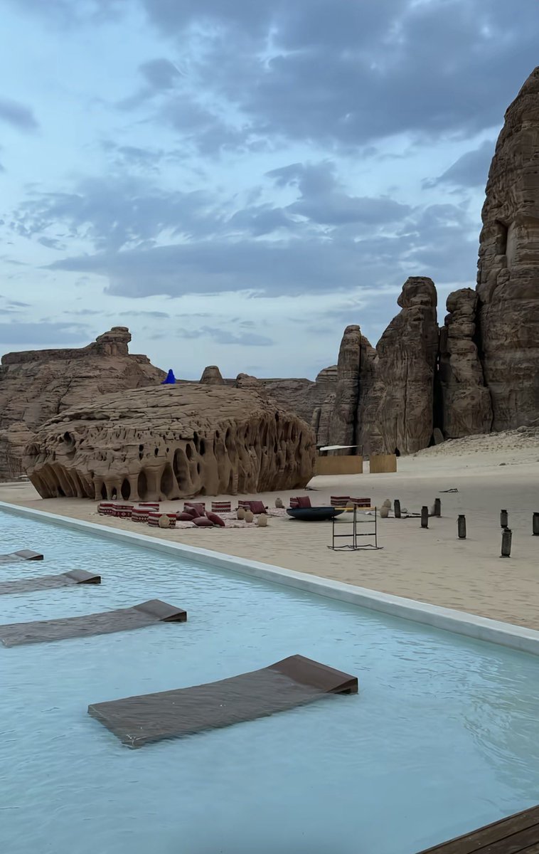 بو إبراهيم 🦾 tweet media