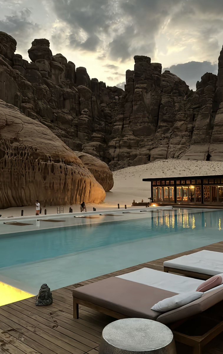 بو إبراهيم 🦾 tweet media