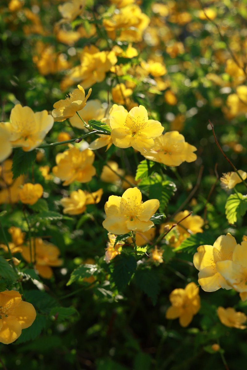 itotamaphoto's tweet photo. 新宿フォトウォーク
やっぱりよく知ってる方についていくと良い写真に出会えますね🌈
#GOOPASS https://t.co/I3To4Z6q3H