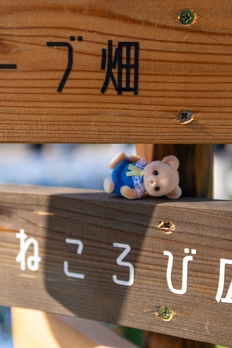 ゆきみもち tweet media