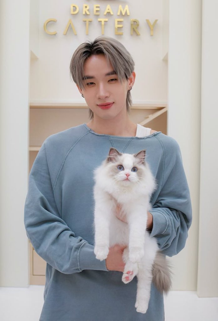 𝑹𝒖𝒎𝒊 🎀 tweet media