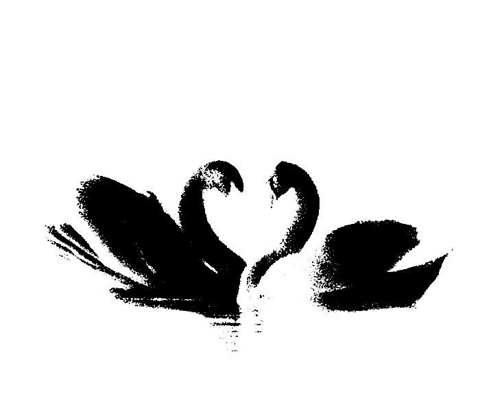 gica.ᐟ tweet media