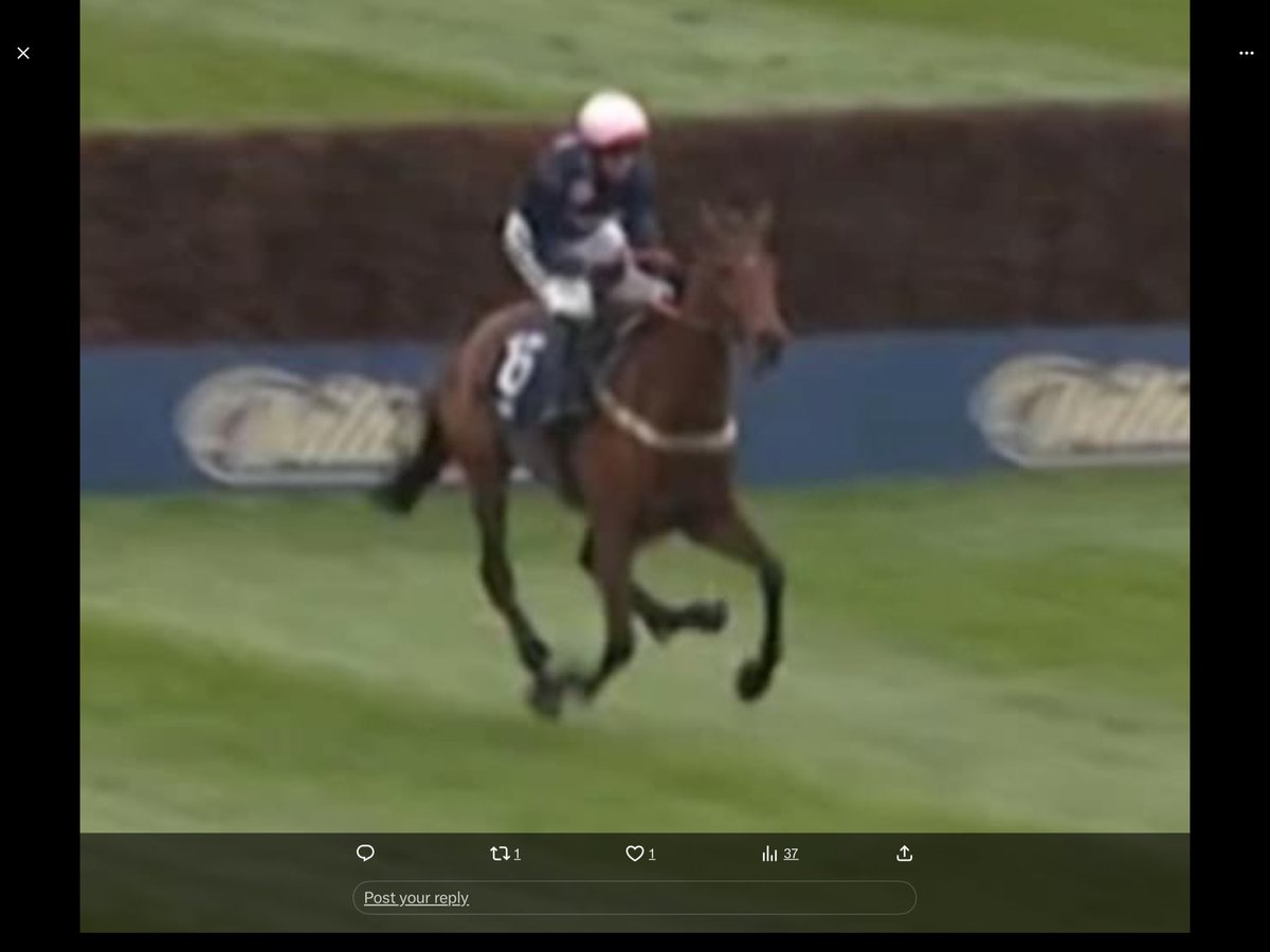 paparappa tweet media