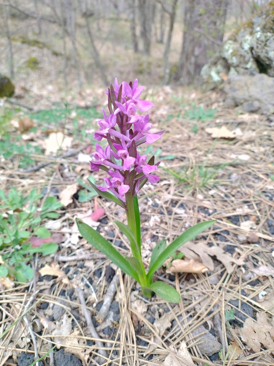 Graziella Bi🌈 tweet media