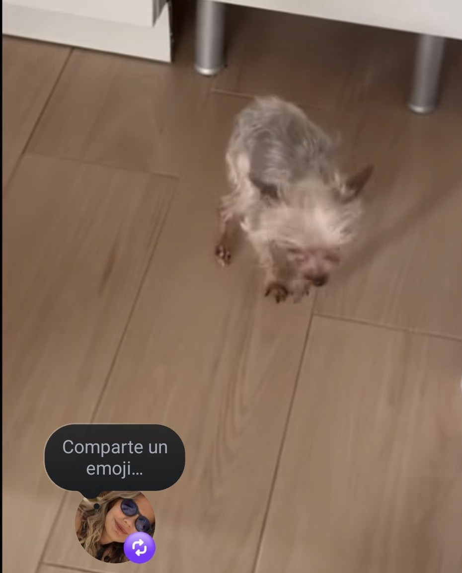 Cassandra tweet media