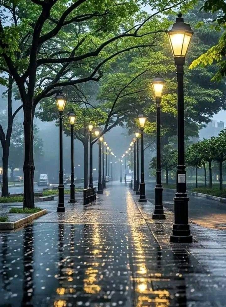aestheticspost_'s tweet photo. https://t.co/e566HfTvTy